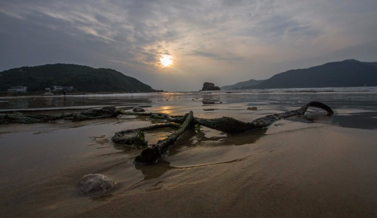 Dawn. Photo: Andrew Carruthers