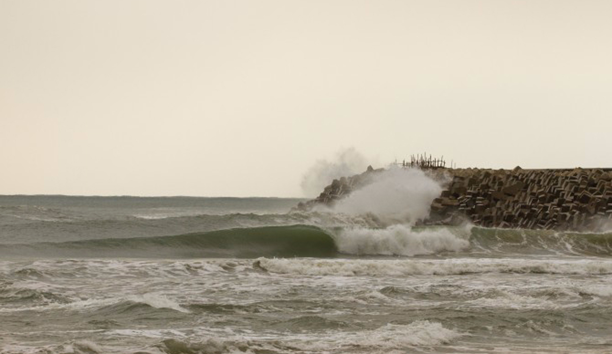 Perfect. Photo: Andrew Carruthers