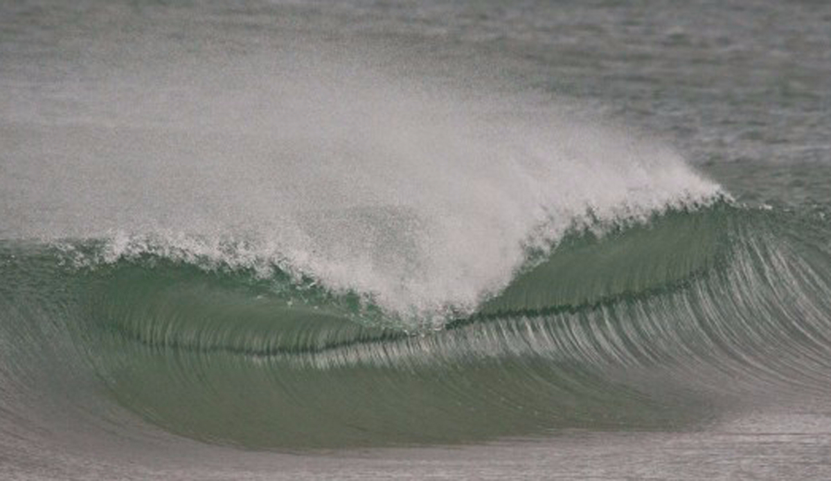 Perfect China. Photo: Andrew Carruthers
