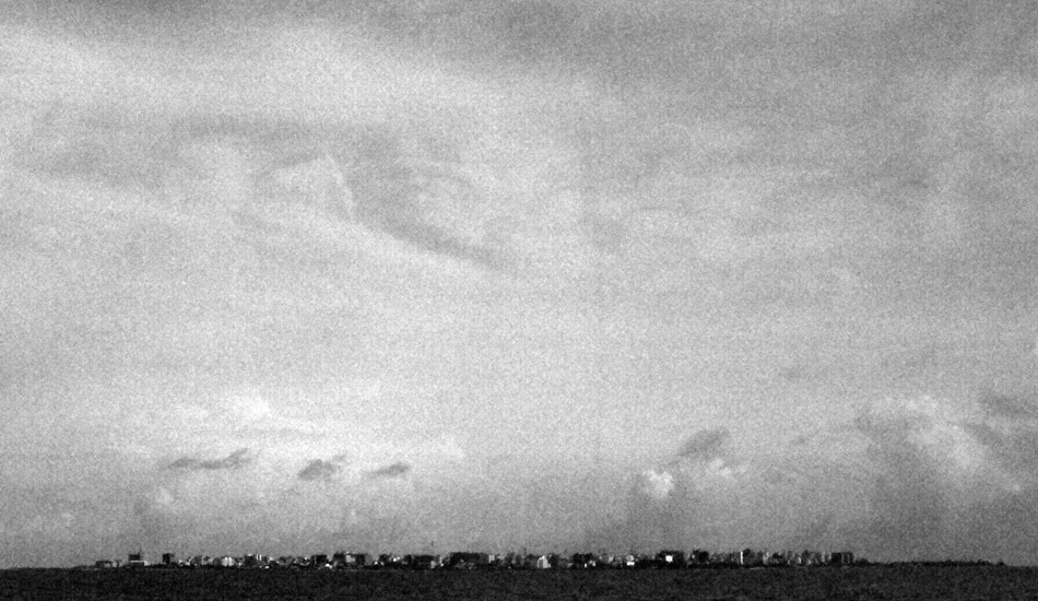 Male. Photo: Chippa Wilson