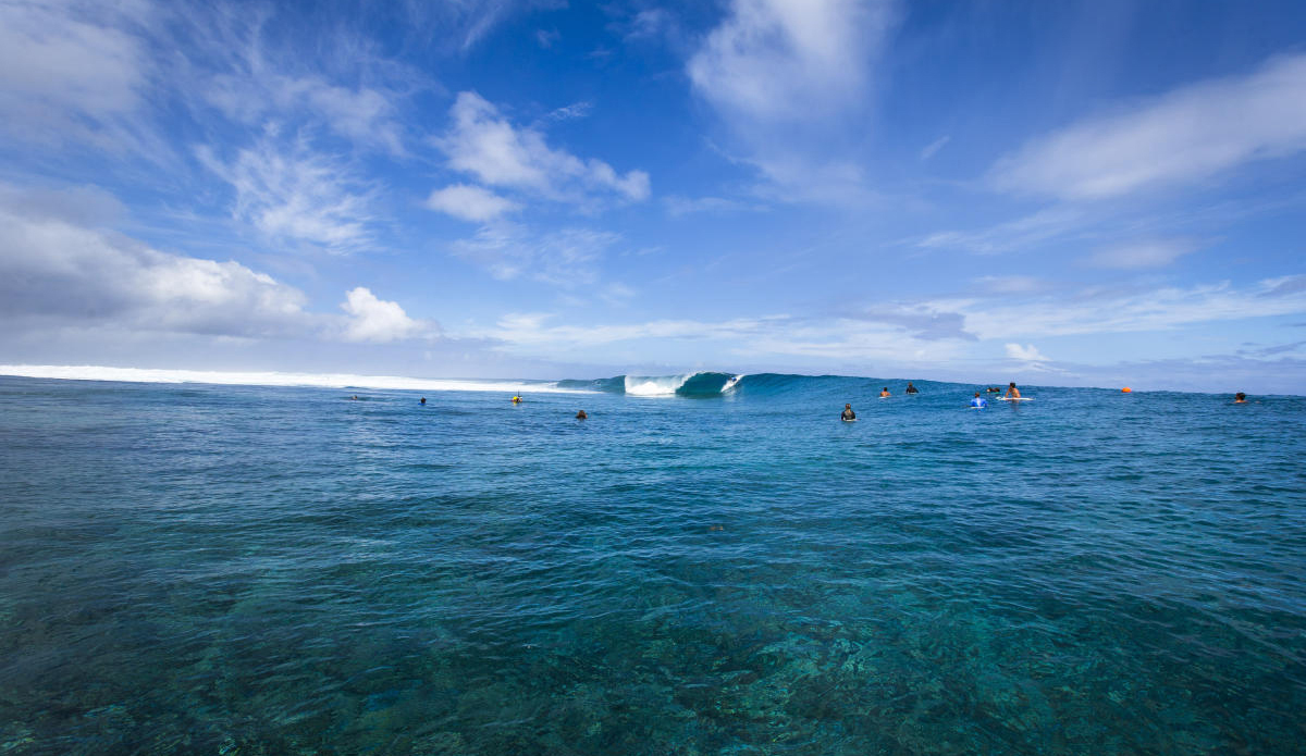 Photo: Poullenot/Aquashot