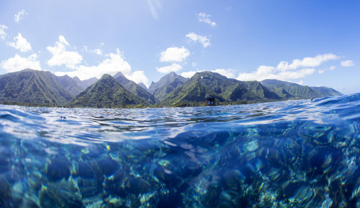 Photo: WSL/Kristin Scholtz