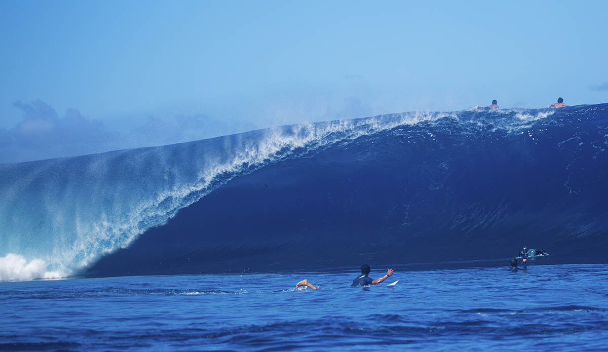 Photo: Romuald Pliquet