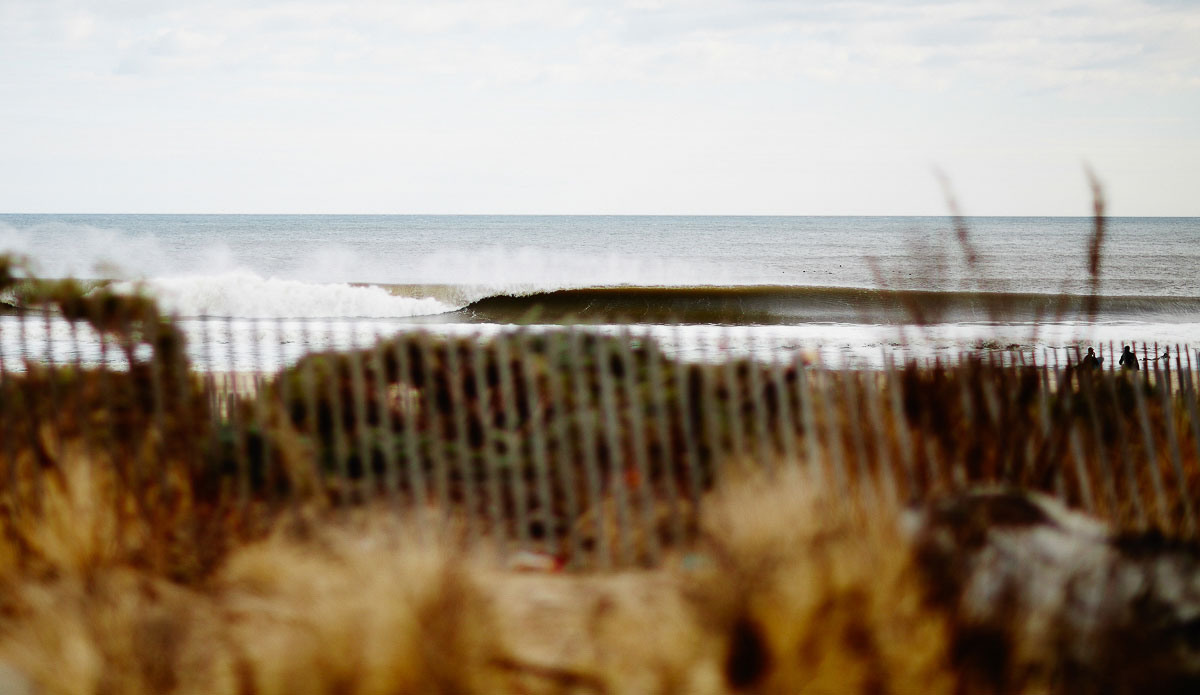 Brown grass and brown glass…classic NJ winters. Photo: <a href=\"https://www.chrisdelorenzophoto.com/\"> Chris DeLorenzo</a>