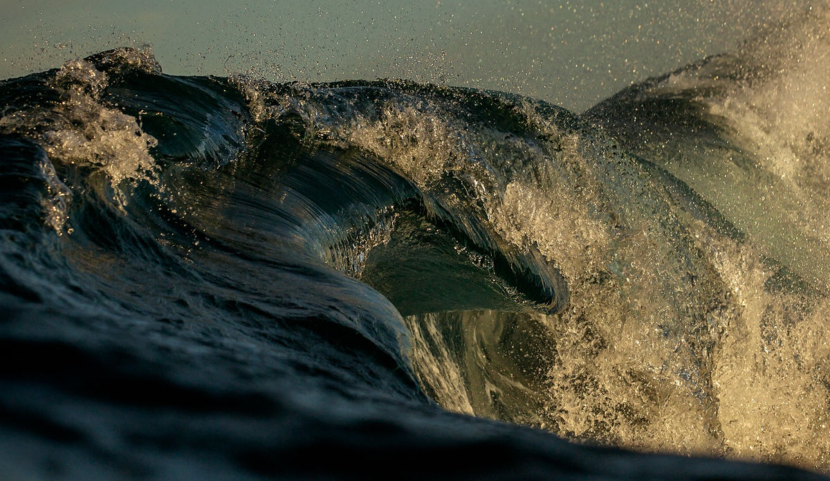 Photo: <a href=\"https://www.chrisdixonphoto.com\">Chris Dixon</a>