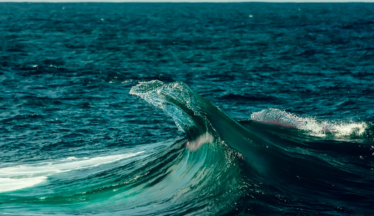 Photo: <a href=\"https://www.chrisdixonphoto.com\">Chris Dixon</a>