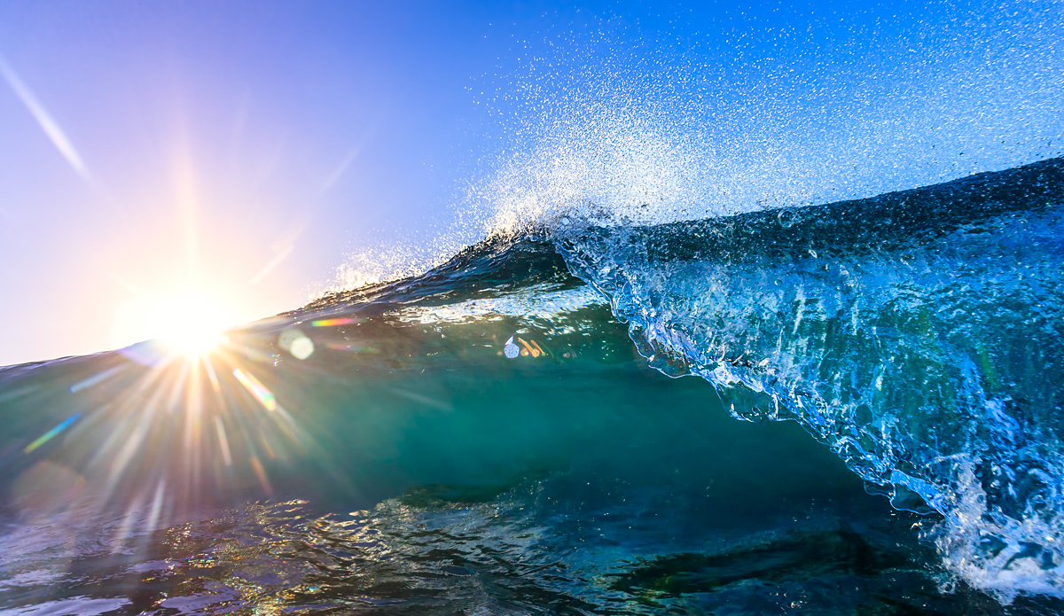 Photo: <a href=\"https://www.chrisdixonphoto.com\">Chris Dixon</a>