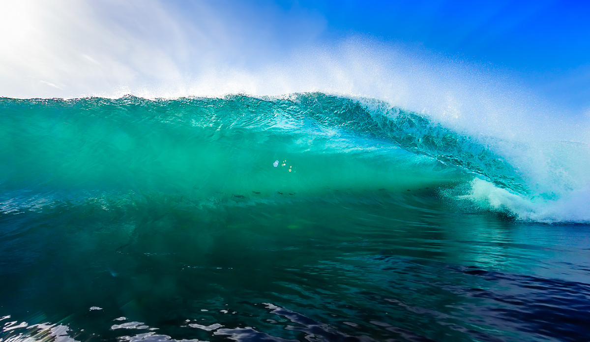 Photo: <a href=\"https://www.chrisdixonphoto.com\">Chris Dixon</a>