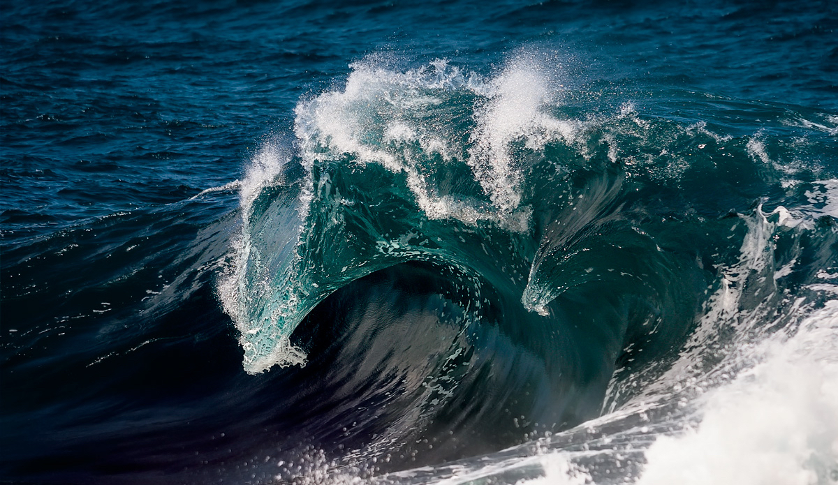 Photo: <a href=\"https://www.chrisdixonphoto.com\">Chris Dixon</a>