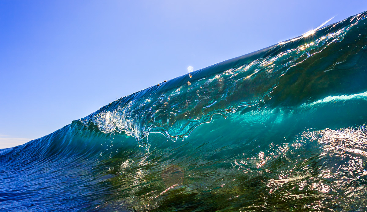 Photo: <a href=\"https://www.chrisdixonphoto.com\">Chris Dixon</a>