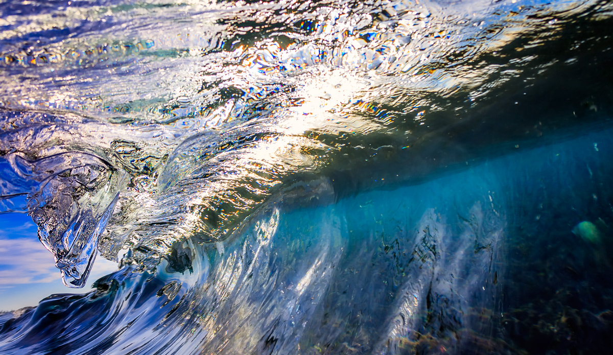 Photo: <a href=\"https://www.chrisdixonphoto.com\">Chris Dixon</a>