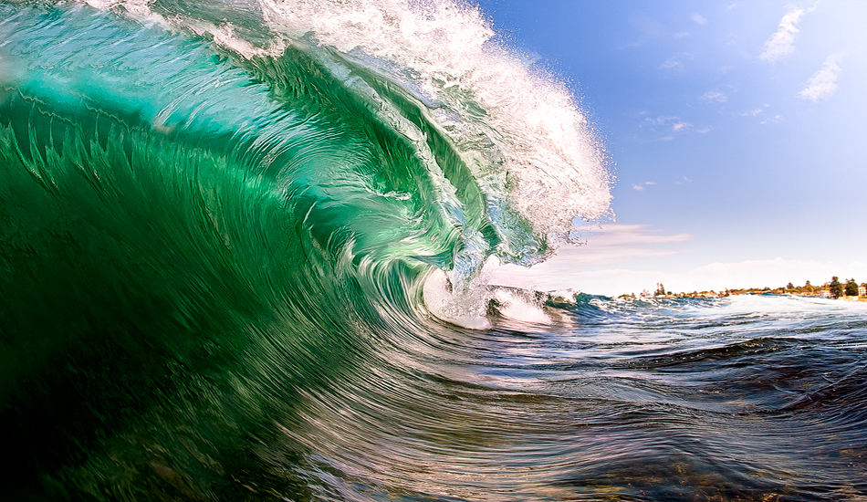 Creature of the shallows.  Photo: <a href=\"https://www.cdixon-photography.com/\"> Chris Dixon</a>