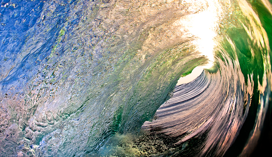 Light control.  Photo: <a href=\"https://www.cdixon-photography.com/\"> Chris Dixon</a>