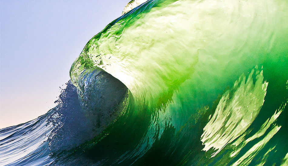 Limelit.  Photo: <a href=\"https://www.cdixon-photography.com/\"> Chris Dixon</a>