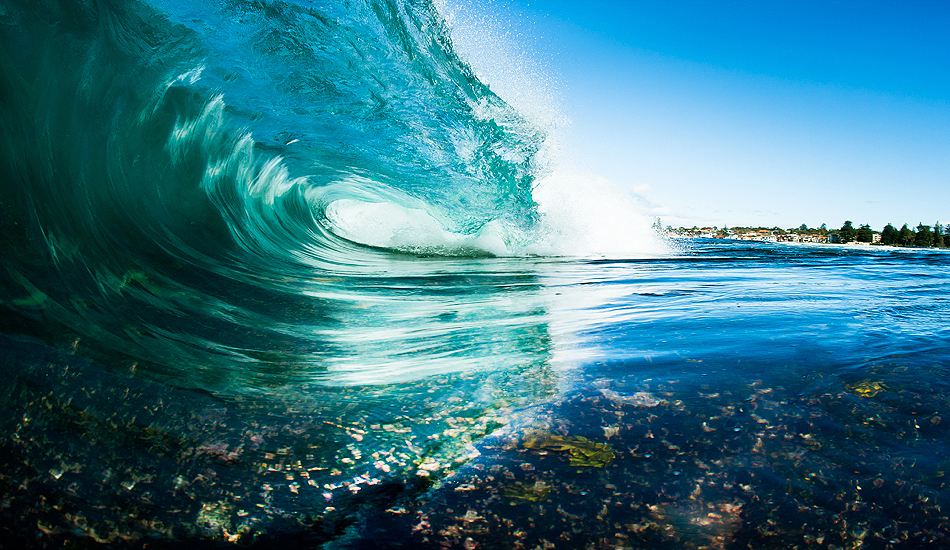 Moving through the shallows.  Photo: <a href=\"https://www.cdixon-photography.com/\"> Chris Dixon</a>