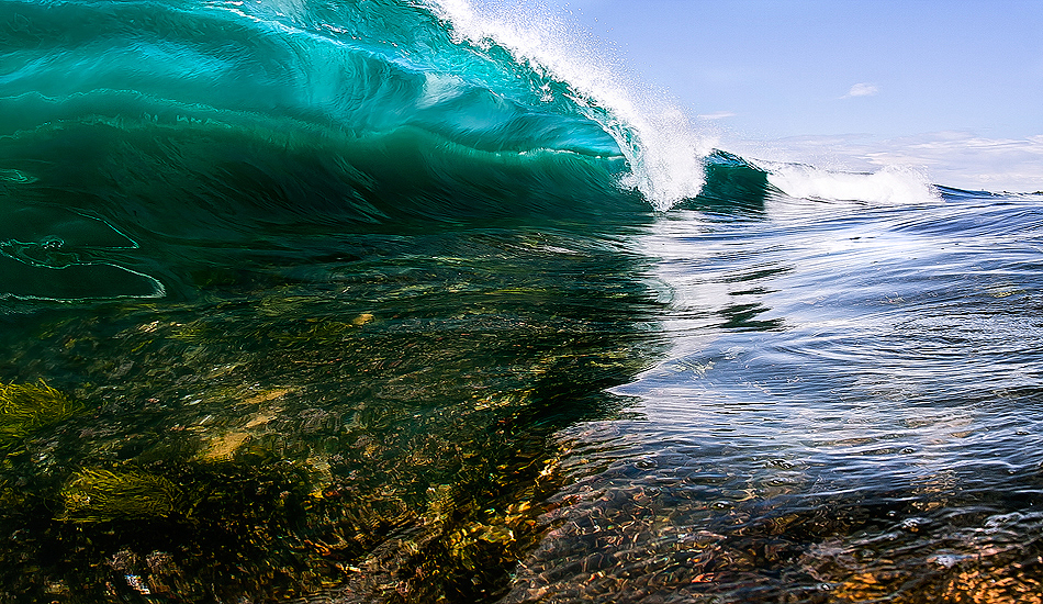 Rigid reef. Photo: <a href=\"https://www.cdixon-photography.com/\"> Chris Dixon</a>