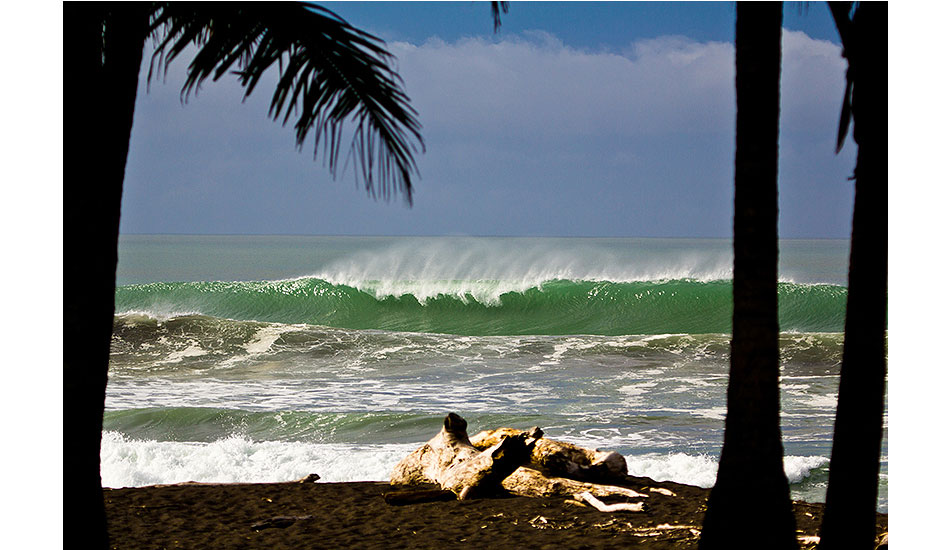 Hermosa Palms: 2012 Costa Rica. You know the saying, \"Save the best for last?\" This was definitely the case on our last day. Photo: <a href=\"https://www.chrisfrickphotography.com/\" target=_blank>Chris Frick</a>.