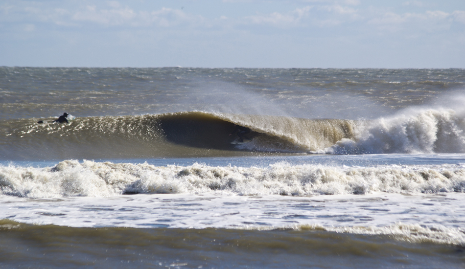 Joe Cheshire. Photo: <a href=\"https://www.chrisfrickphotography.com/\" target=_blank>Chris Frick</a>