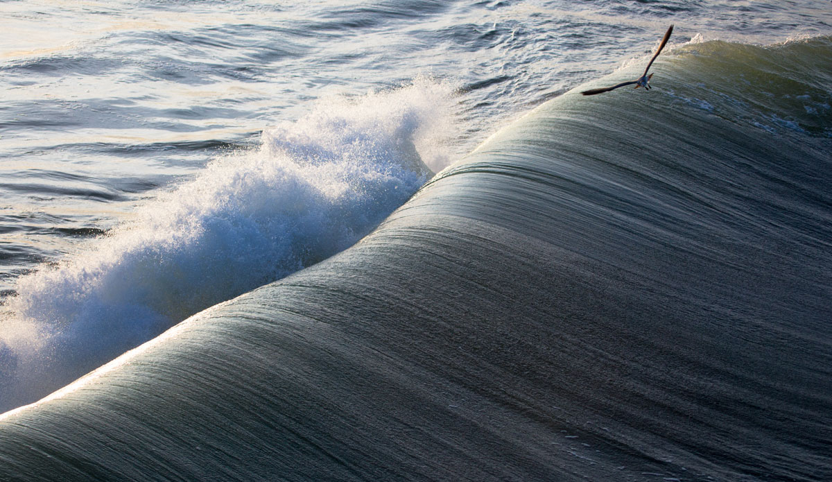 Avalon Pier from above. OBX. Photo: <a href=\"https://www.chrisfrickphotography.com/\">Chris Frick</a>