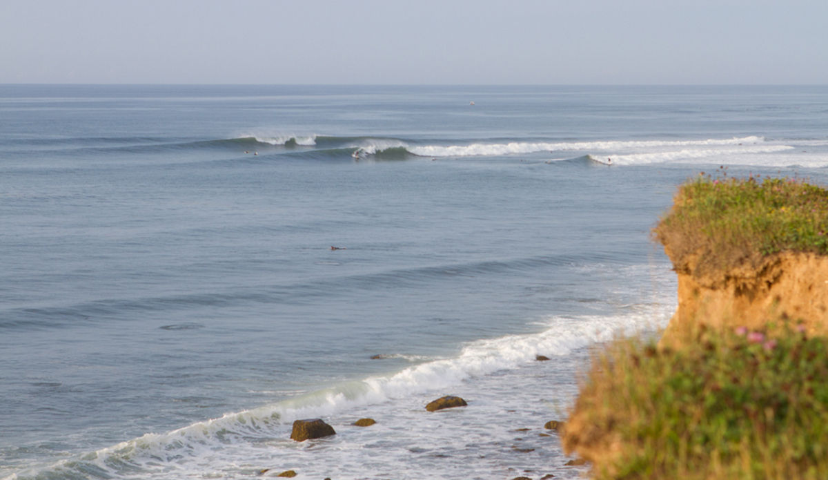 Photo: Chrissy Swain