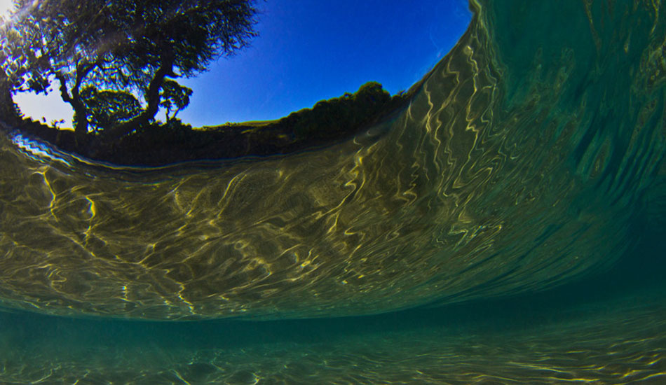 \"Walleye\"\' has a combination of clarity, reflection, and abstractness to it to make this image one the people\'s top choices. These types of shots are insanely tough to capture but the reward is worth it.  Photo: <a href=\"https://www.christianlacuestaphotography.com\"> Christian LaCuesta</a>.