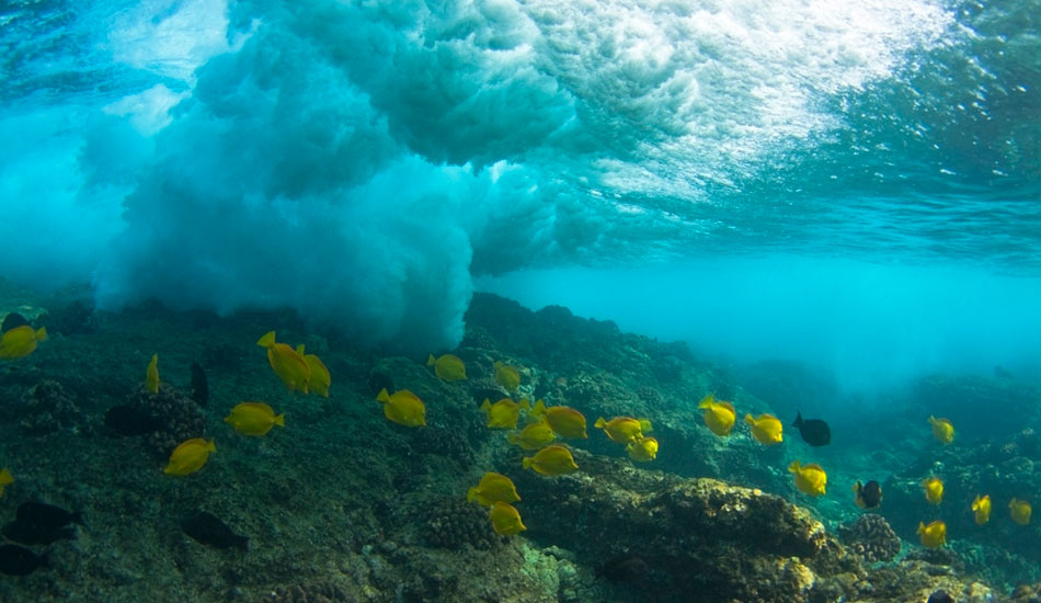 Due to our reefs being so young, this is how shallow spots can get here on Hawaii\'s Big Island. Not even the fish want anything to do with it. Photo: <a href=\"https://www.christianlacuestaphotography.com\"> Christian LaCuesta</a>.