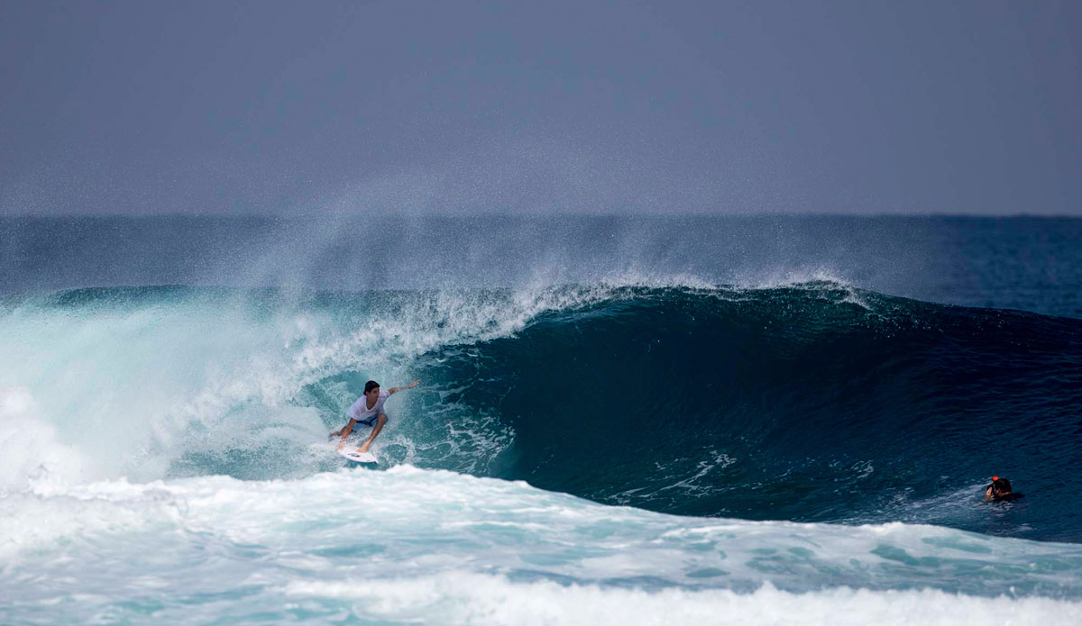 Harley Ross. Photo:<a href=\"https://chroniclesofchristie.com/\"> Andrew Christie</a>