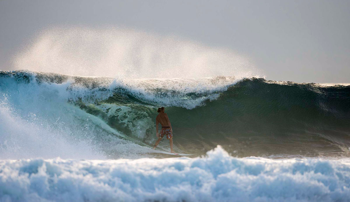 Harry Timson. Photo:<a href=\"https://chroniclesofchristie.com/\"> Andrew Christie</a>