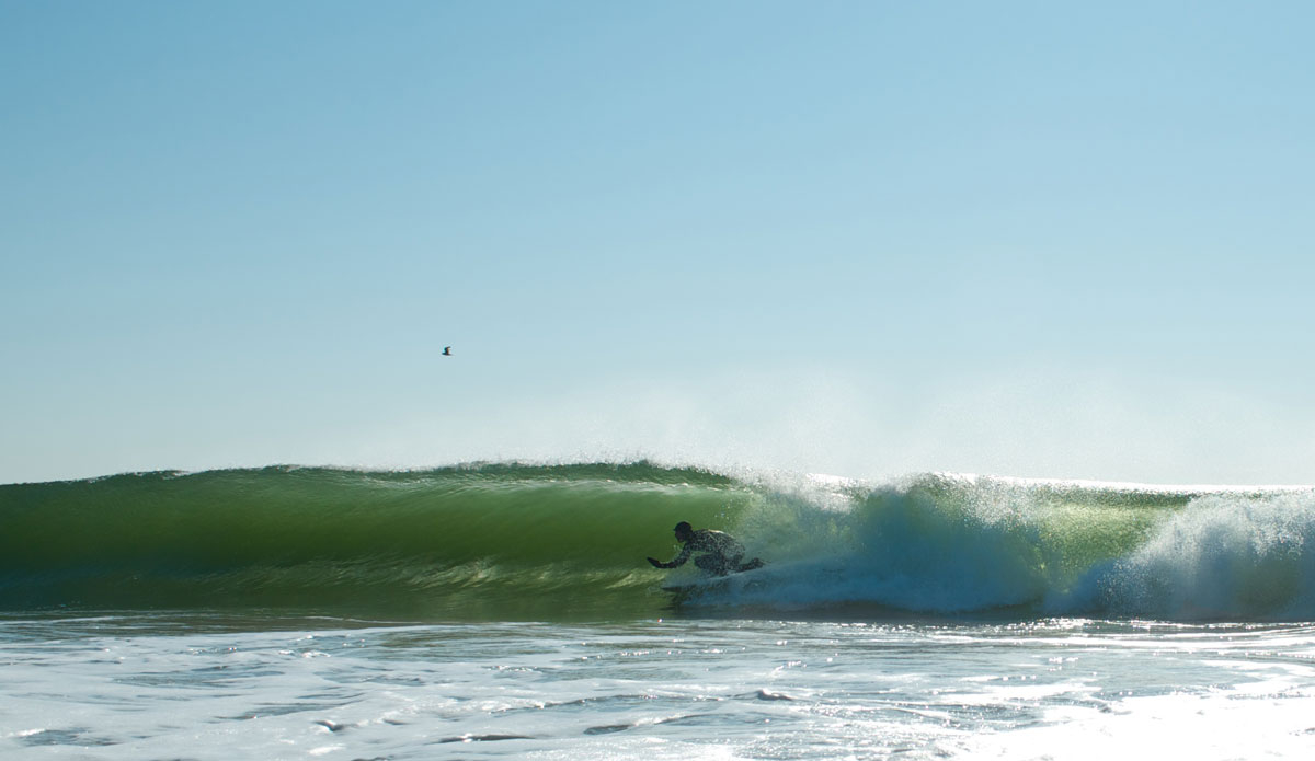 Photo:<a href=\"https://www.stephenkrawiec.com/\">Stephen Krawiec</a>