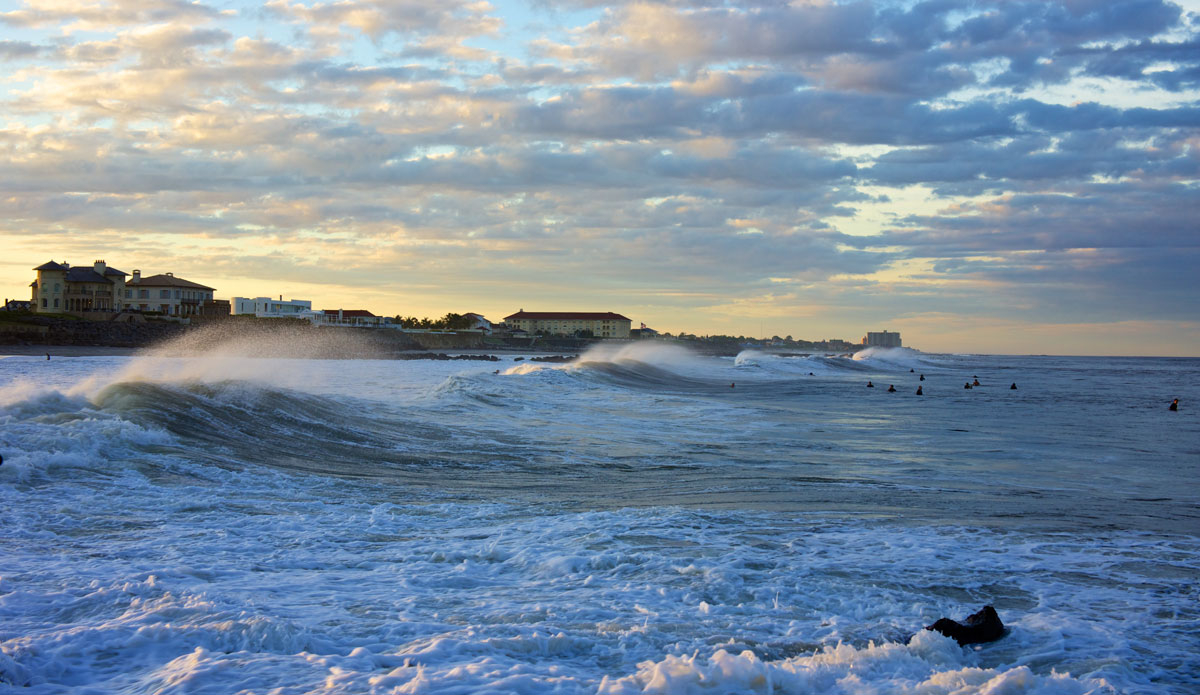 Photo:<a href=\"https://www.stephenkrawiec.com/\">Stephen Krawiec</a>