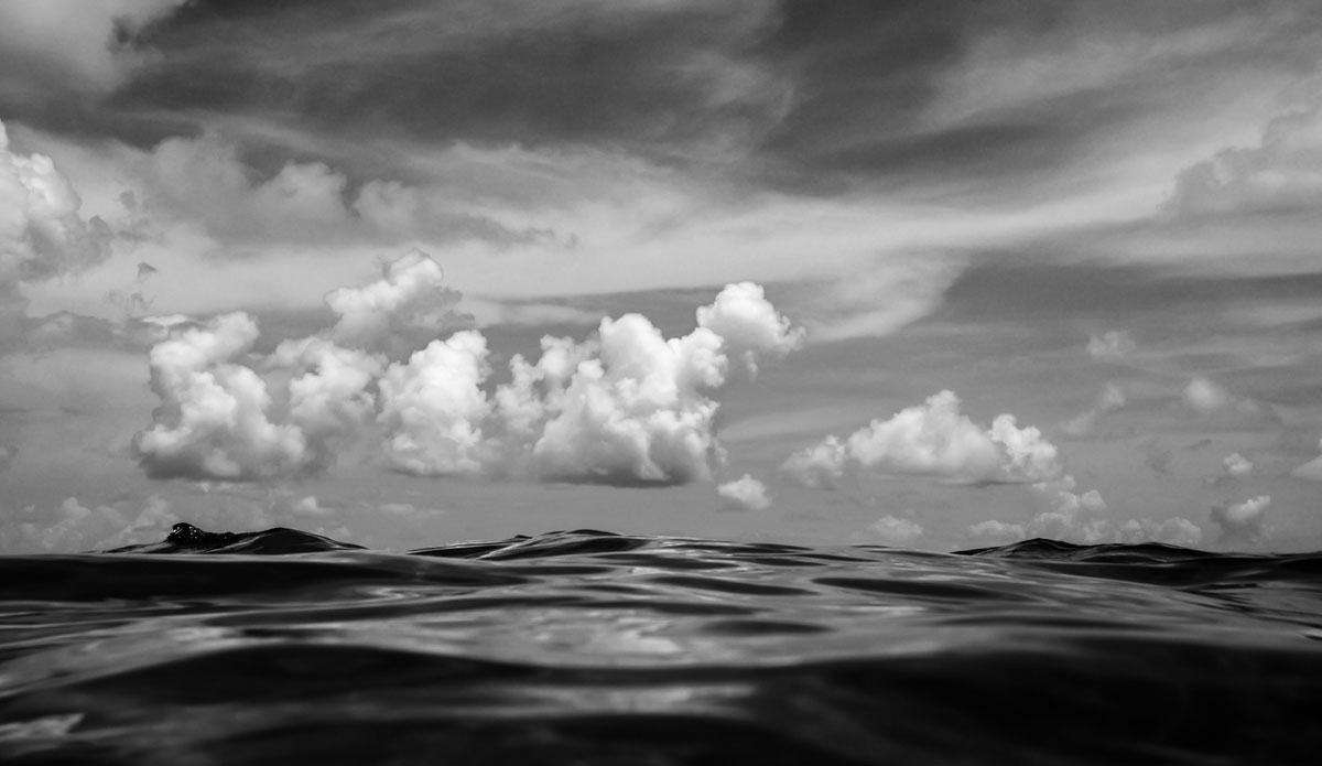 Photo:<a href=\"https://www.stephenkrawiec.com/\">Stephen Krawiec</a>