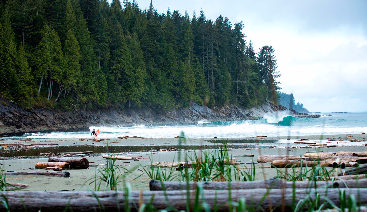 Paradise can be cold. Photo: Will Saunders