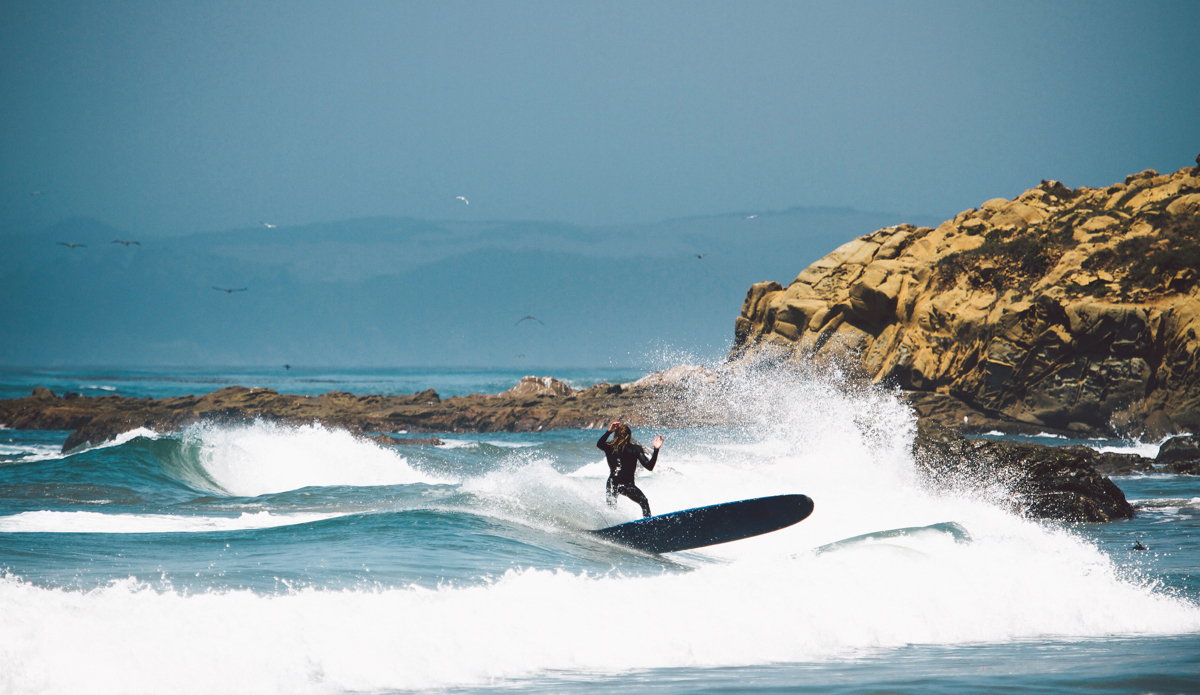 Harley Rubinstein.  Photo: <a href=\"https://www.colinnearman.com\">ColinNearman.com</a>