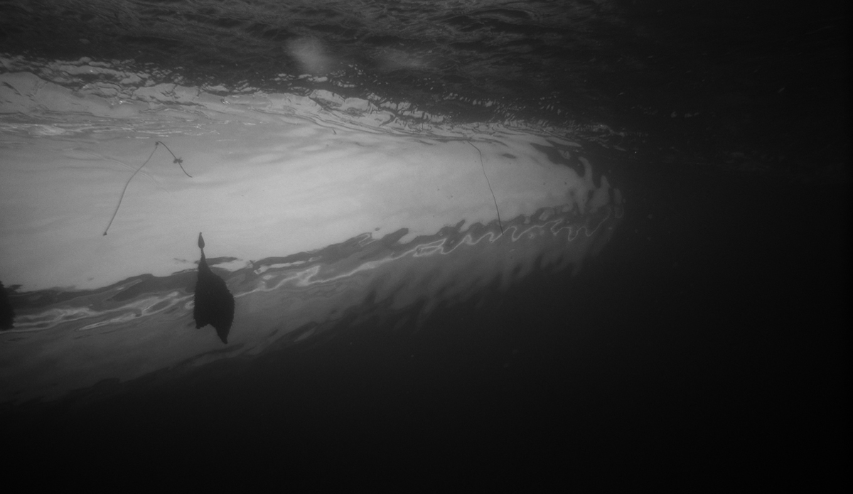 The water is not as clear as Hawaii or even Southern California. But for this murky area it\'s been pretty amazing.  Photo: <a href=\"https://www.colinnearman.com\">ColinNearman.com</a>