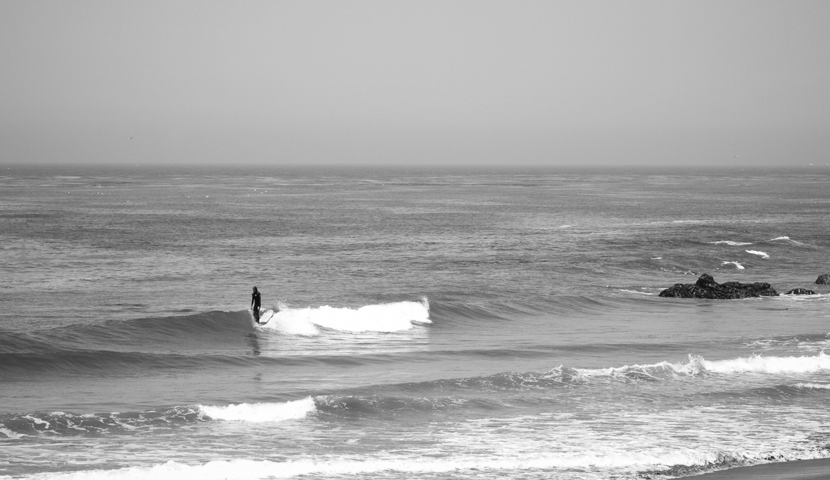  Harley Rubinstein. Photo: <a href=\"https://www.colinnearman.com\">ColinNearman.com</a>