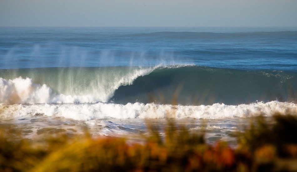 A few empties snuck through untamed. This one unloaded perfectly. Photo:<a href=\"https://www.colinnearman.com\">Colin Nearman</a>