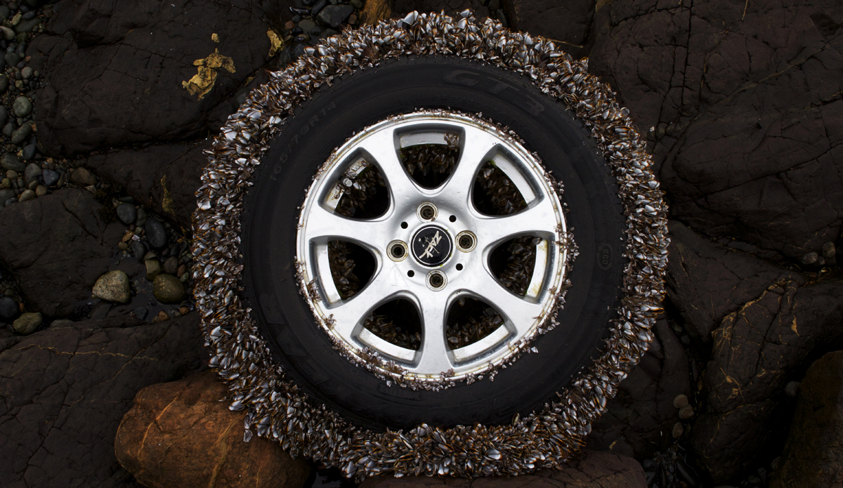 Photo: <a href=\"instagram.com/malcolmrjohnson\">Malcolm Johnson</a>