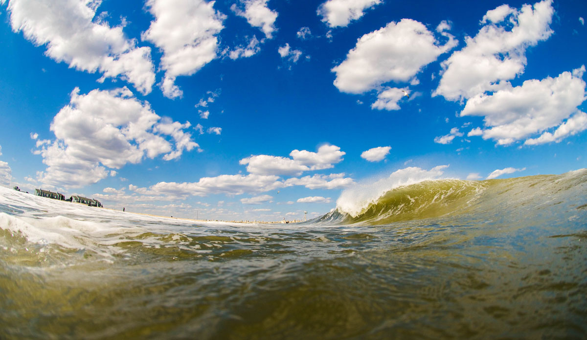 March. Blue skies. Photo: <a href=\"https://connorhalpinphoto.com/\"> Connor Halpin</a>