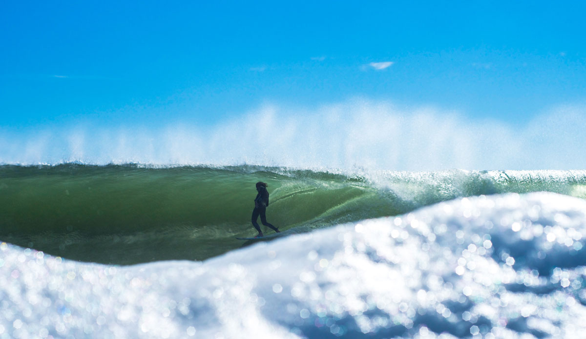 September. Tom Petriken. Photo: <a href=\"https://connorhalpinphoto.com/\"> Connor Halpin</a>