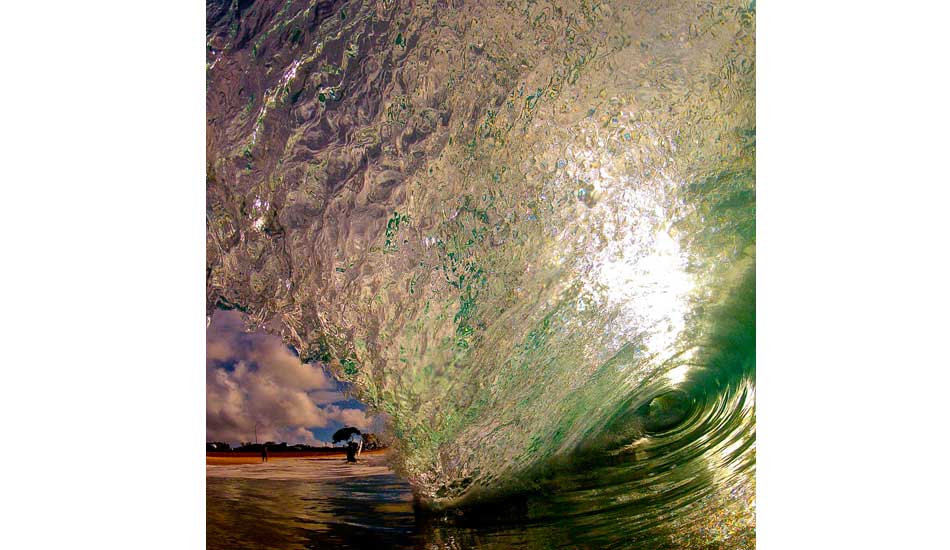 Backlit Gem. Photo: <a href=\"https://www.conorwavephoto.smugmug.com\">Conor Kennedy</a>