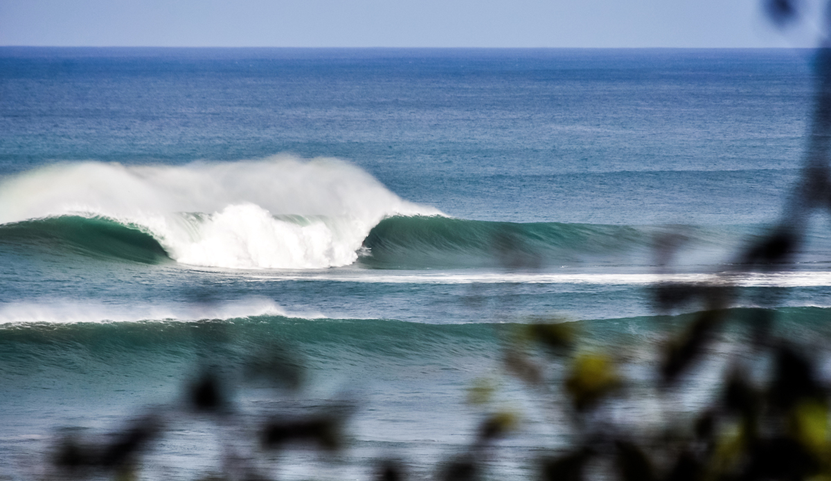 Photo: <a href=\"https://www.cwd-photography.com/\">Constantin Witt-Dörring</a>