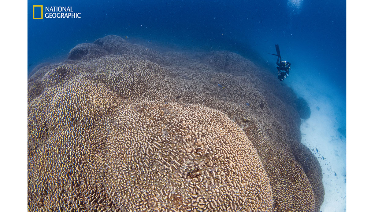 Photo: National Geographic