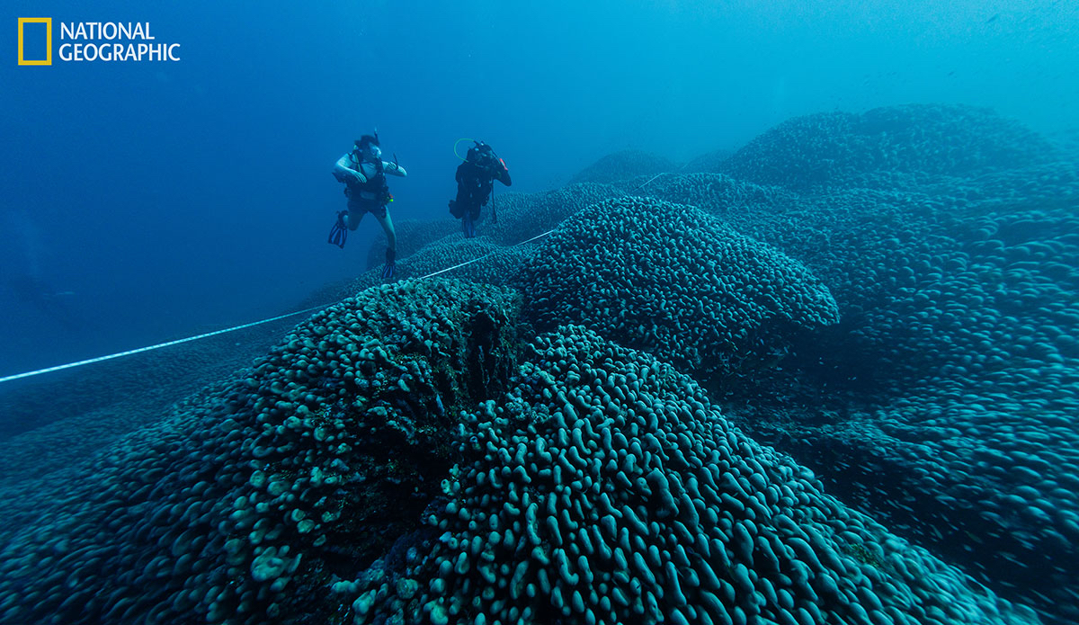 Photo: National Geographic