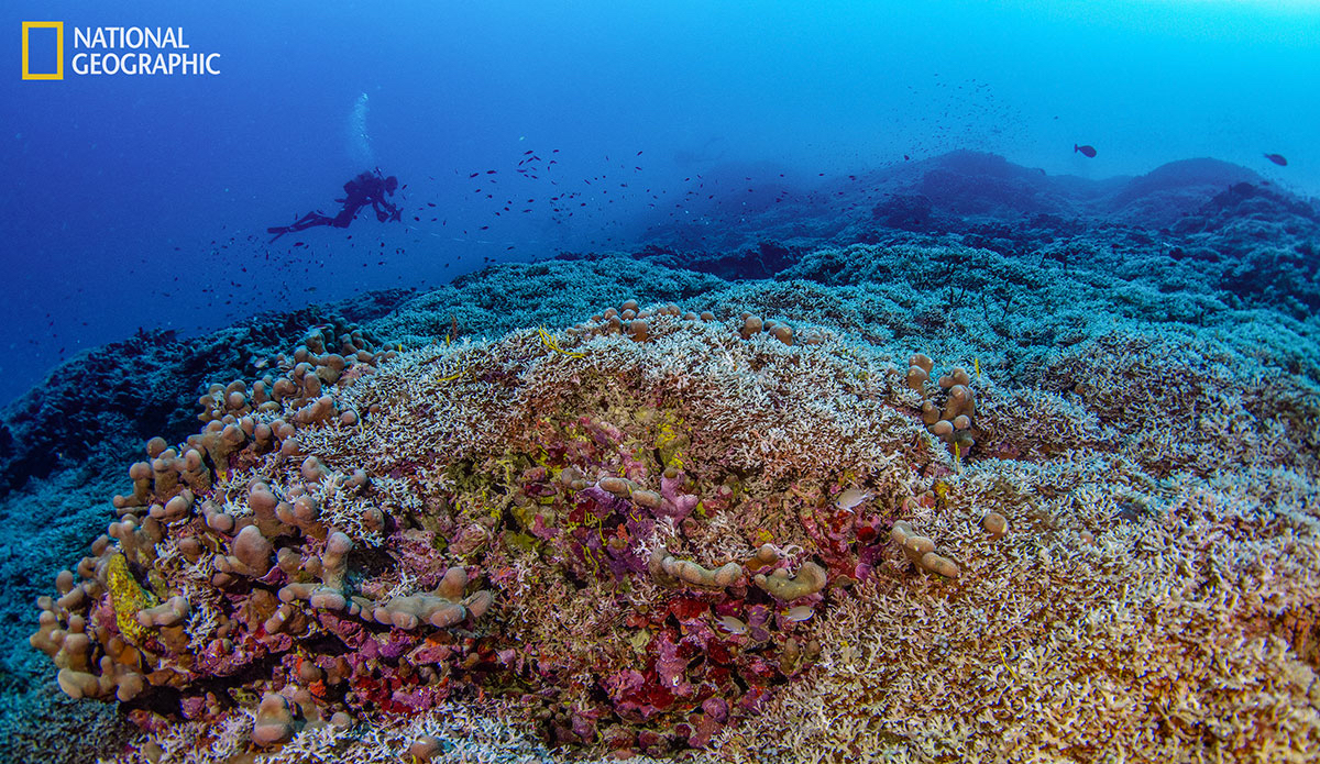 Photo: National Geographic