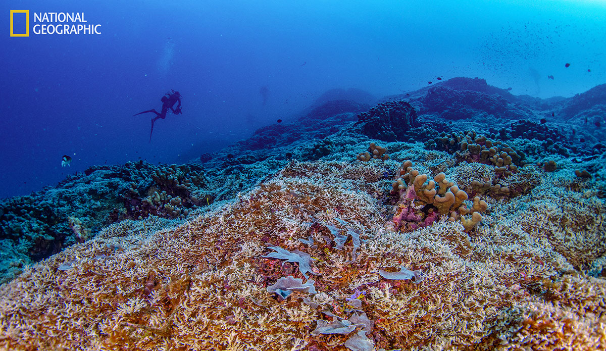 Photo: National Geographic