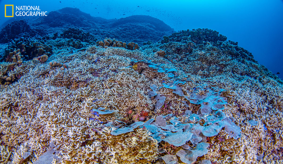 Photo: National Geographic