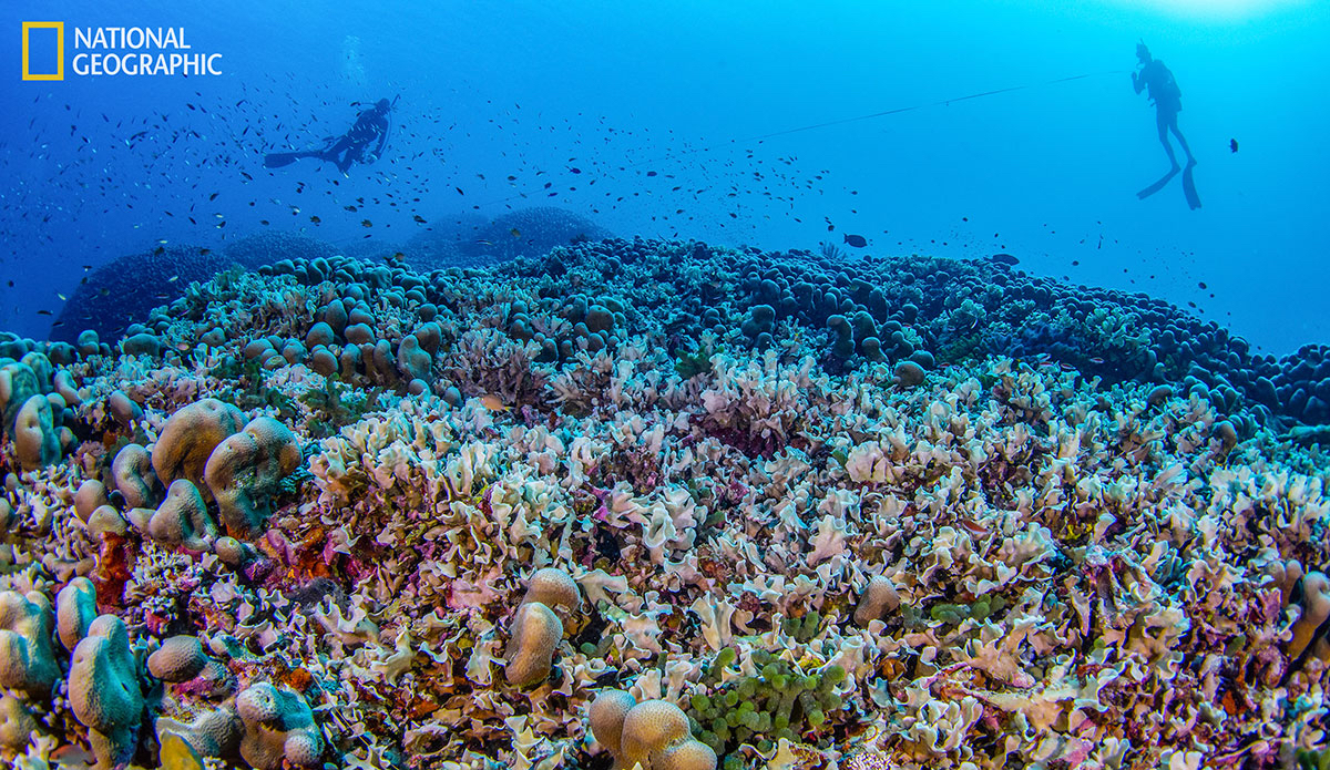 Photo: National Geographic