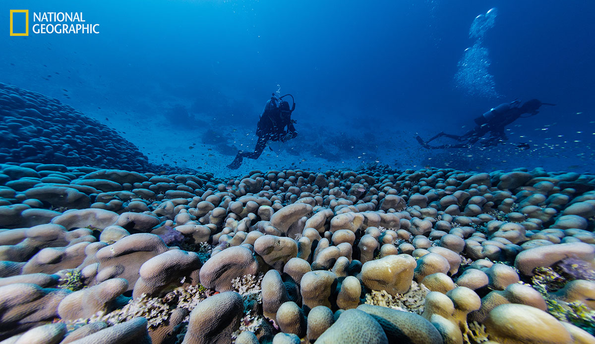 Photo: National Geographic