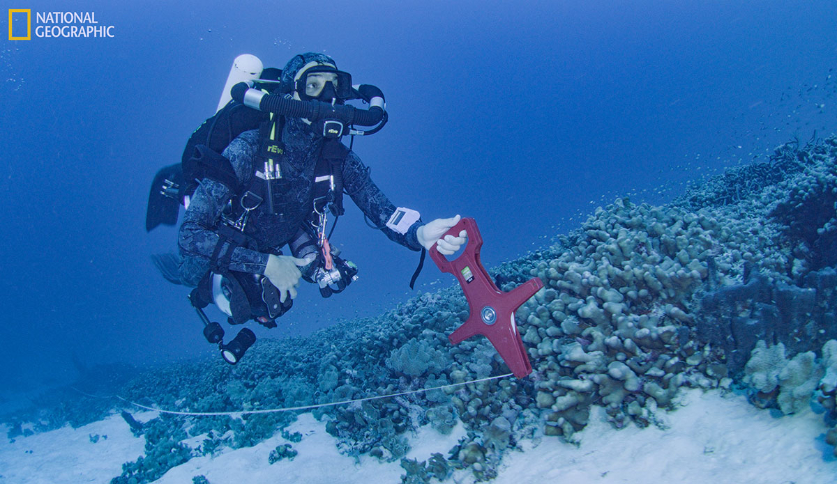 Photo: National Geographic