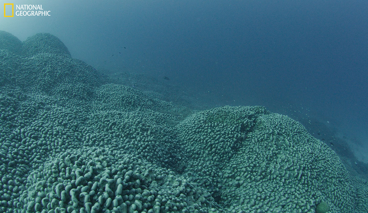 Photo: National Geographic